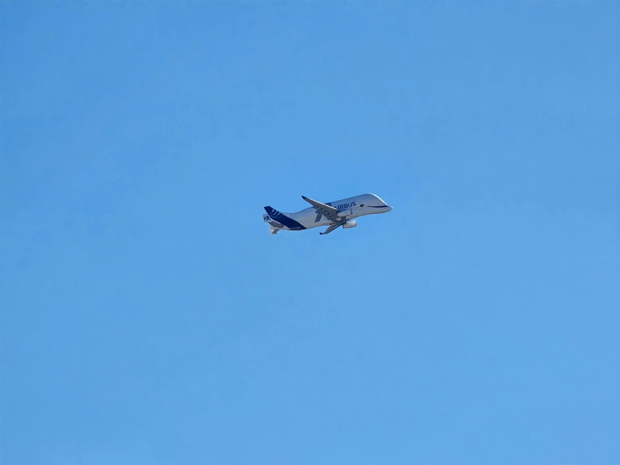 An Airbus Beluga transport aircraft climbing out against a blue sky